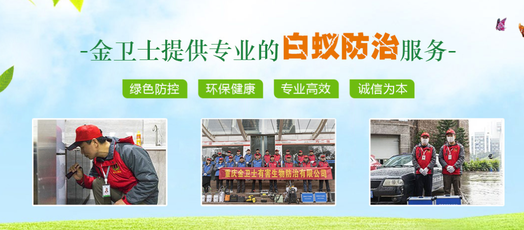 春季3月時期，白蟻消殺工作任重而道遠(yuǎn)  ?