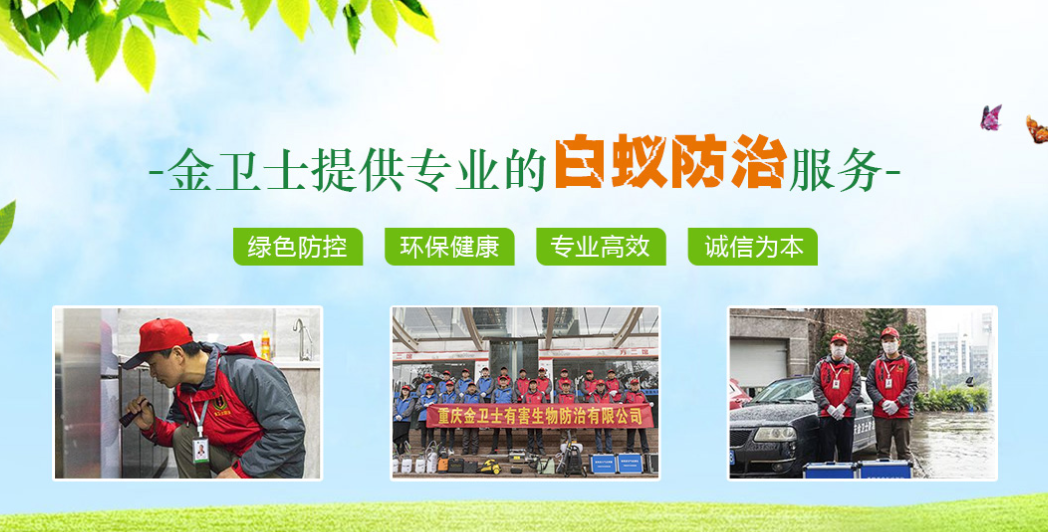 丑陋的蟑螂看起來很可怕。如何解決這種情況？