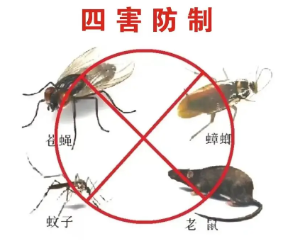 床墊易滋生吸血臭蟲，怎樣預(yù)防呢？